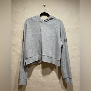 ALO Gray Ribbed Cropped Mused Women's Hoodie